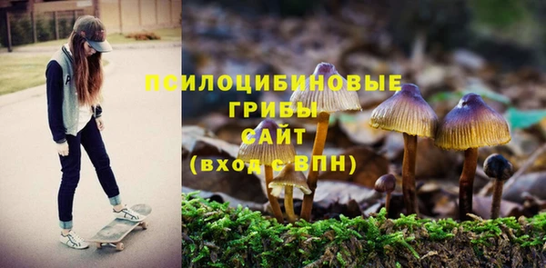 мяу мяу кристалл Нягань