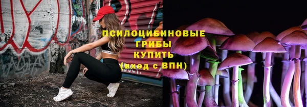 героин Няндома
