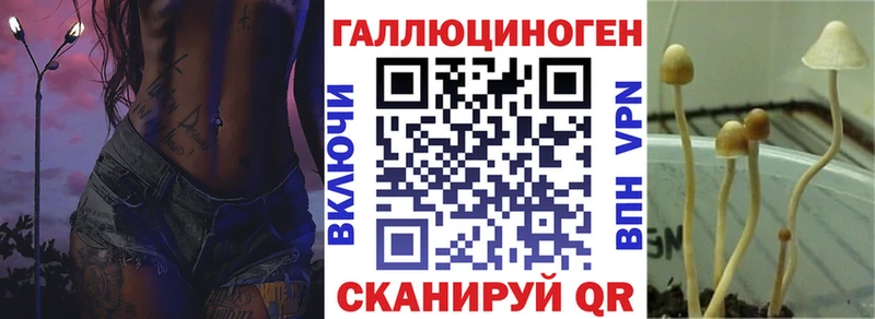 сколько стоит  Альметьевск  Псилоцибиновые грибы прущие грибы 