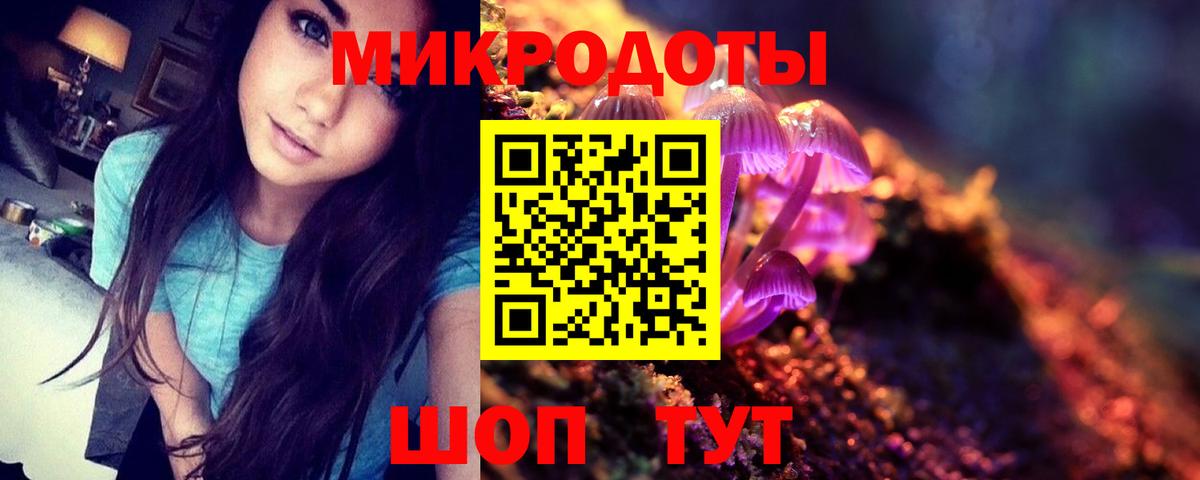 Галлюциногенные грибы Psilocybe  Псилоцибиновые грибы Psilocybine cubensis  Вход с VPN  Альметьевск 