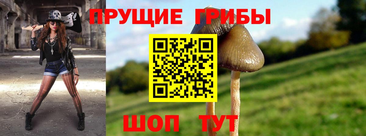 Псилоцибиновые грибы GOLDEN TEACHER Альметьевск