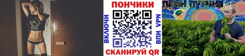 дарк нет Telegram  MEGA онион  Альметьевск  дарнет шоп  МАРИХУАНА OG Kush 